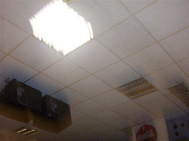 000_1754.jpg