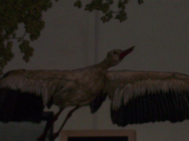 000_1790.jpg