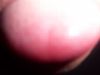 000_1690.jpg