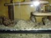 DSC00279.JPG